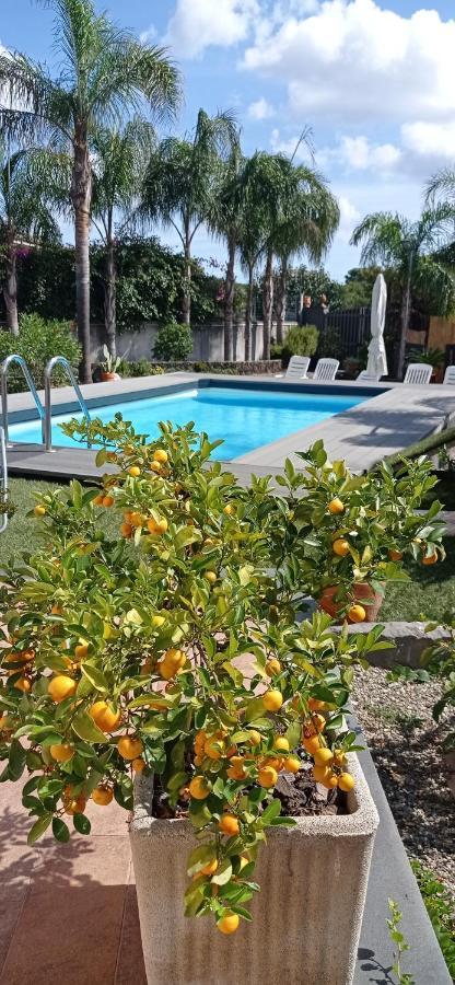 Le Stanze Dei Colori Hotel Aci Bonaccorsi Eksteriør billede